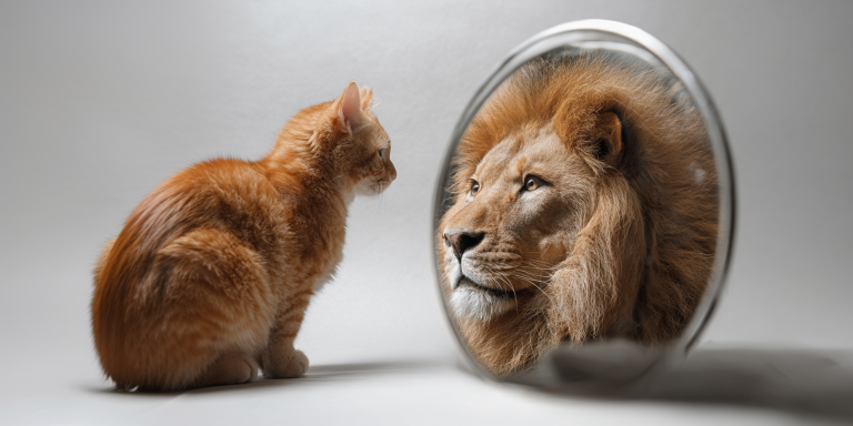 ross_na_rua_A_cat_looking_into_the_mirror_and_seeing_a_lion_i_75d51ed8-0557-4642-8a2e-6c7b4770aeab_1-768x384